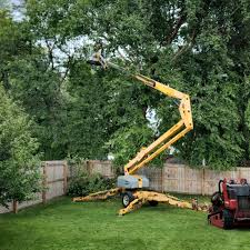 Best Sod Installation  in Willits, CA